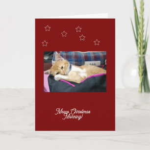 Weihnachten, Foto, Text, ersetzt Feiertagskarte