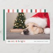 Weihnachten Frohe und helle rosa Rosa Grün Foto Mitteilungskarte (Vorne/Hinten)