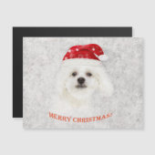 Weihnachten Frozen Malteser Welpe Magnetkarte (Vorne/Hinten)