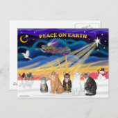 Weihnachten - Fünf Katzen (AmSH) (Vorne/Hinten)