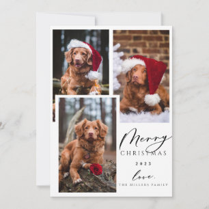 Weihnachten Funny Pet Frohe Weihnachten 3 Foto