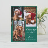 Weihnachten Funny Pet Frohe Weihnachten 3 Foto Hol (Stehend Vorderseite)