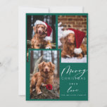 Weihnachten Funny Pet Frohe Weihnachten 3 Foto Hol<br><div class="desc">Weihnachten Funny Pet Frohe Weihnachten 3 Foto Collage Leicht und schnell durch ein Foto Ihres Haustiers oder Ihrer Familie ersetzen</div>