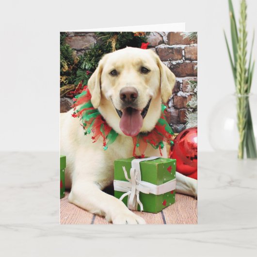 Weihnachten - Gelbes Labrador - Streifen (Vorderseite)
