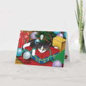 Weihnachten Geschenkkatze (Vorderseite)