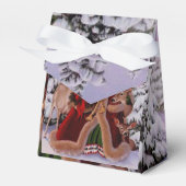 Weihnachten Geschenkschachtel (Vorderseite)