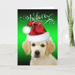 Weihnachten Glaube Adorable Golden Santa Pup