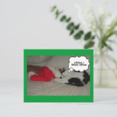Weihnachten glauben Schwarz und Weiß Kitten (Stehend Vorderseite)