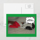 Weihnachten glauben Schwarz und Weiß Kitten (Vorne/Hinten)