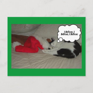 Weihnachten glauben Schwarz und Weiß Kitten