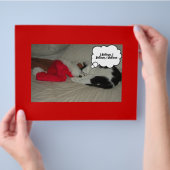 Weihnachten glauben Schwarz und Weiß Kitten Flyer (Hand)