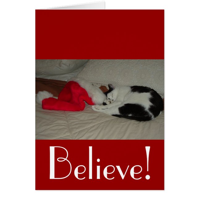 Weihnachten glaubt Kitty Cat (Vorne)