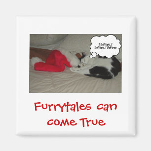 Weihnachten glaubt Schwarz und Weiß Kitten Magnet