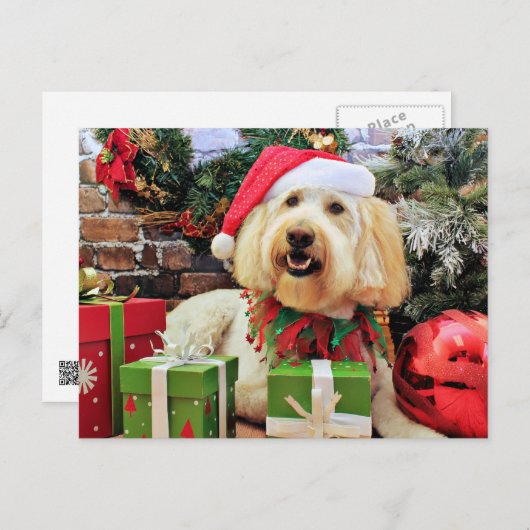 Weihnachten - Golden Doodle - Bella (Vorne/Hinten)