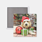 Weihnachten - Golden Doodle - Gus Magnet (Vorderseite/Rückseite)