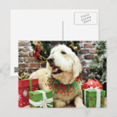 Weihnachten - Golden Doodle - Lacey (Vorne/Hinten)