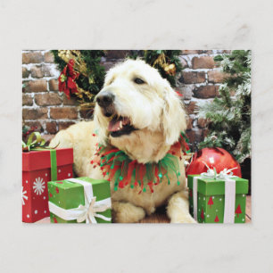 Weihnachten - Golden Doodle - Lacey