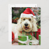 Weihnachten - Golden Doodle - Peyton (Vorne/Hinten)