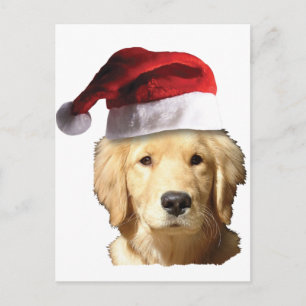 Weihnachten Golden Retriever