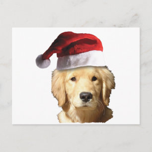Weihnachten Golden Retriever