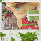 Weihnachten - golden retriever - Addison Küchentuch (Gefaltet)