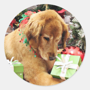 Weihnachten - golden retriever - Addison Runder Aufkleber