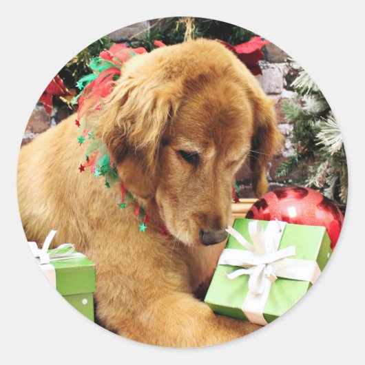 Weihnachten - Golden Retriever - Addison Runder Aufkleber (Vorderseite)