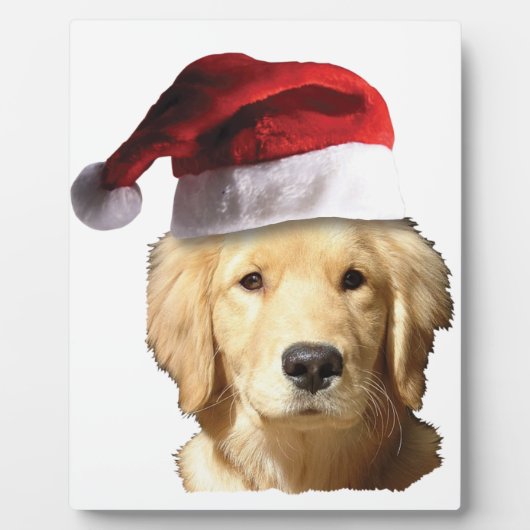 Weihnachten Golden Retriever Fotoplatte (Vorderseite)
