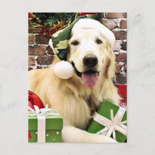 Weihnachten - Golden Retriever - Hudson