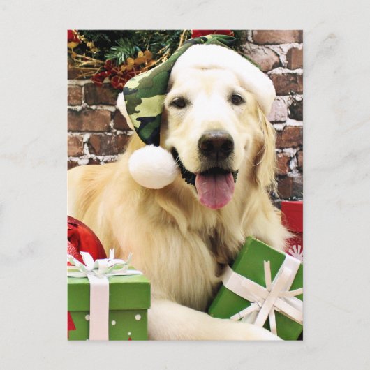 Weihnachten - Golden Retriever - Hudson (Vorderseite)