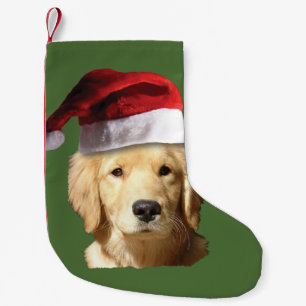 Weihnachten Golden Retriever Kleiner Weihnachtsstrumpf