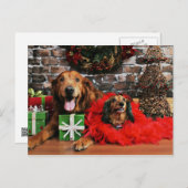 Weihnachten - Golden Retriever Max - Dackel - Chlo (Vorne/Hinten)