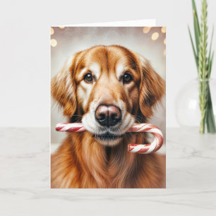 Weihnachten Golden Retriever mit Candy Cane