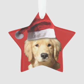 Weihnachten Golden Retriever Ornament