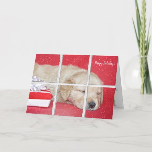 Weihnachten Golden Retriever Pup im Fenster (Vorderseite)
