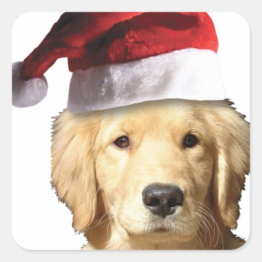Weihnachten Golden Retriever Quadratischer Aufkleber (Vorderseite)