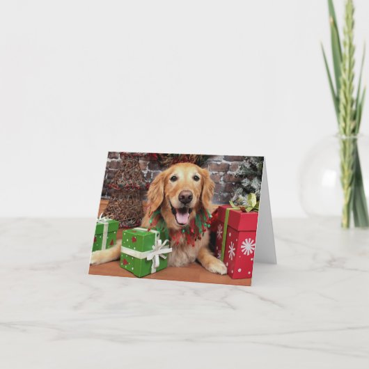 Weihnachten - Golden Retriever - Sidney (Vorderseite)