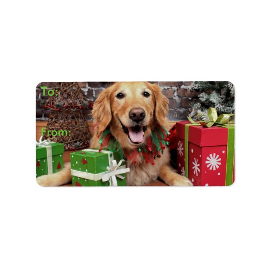 Weihnachten - Golden Retriever - Sidney Adressaufkleber (Vorne)