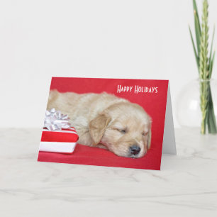 Weihnachten Golden Retriever Welpe