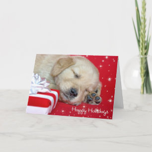 Weihnachten Golden Retriever Welpe