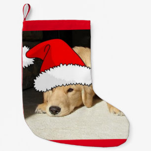 Weihnachten Golden Retriever Welpe Kleiner Weihnachtsstrumpf