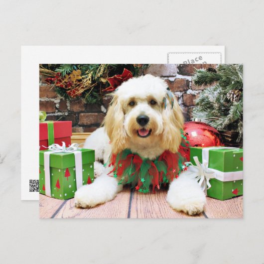 Weihnachten - GoldenDoodle - Mazey (Vorne/Hinten)