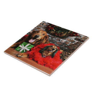 Weihnachten - goldener Retriever maximal - Dackel Fliese