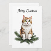 Weihnachten Graue Katze Frohe Weihnachtsbaum (Vorne/Hinten)