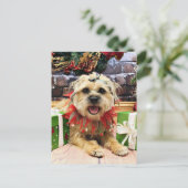 Weihnachten - Grenze Terrier - Reagan (Stehend Vorderseite)