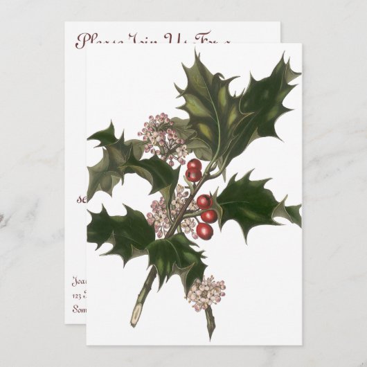 Weihnachten, Grüne Holly-Pflanze mit Berries Einladung (Vorne/Hinten)