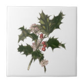 Weihnachten, Grüne Holly-Pflanze mit Berries Fliese (Vorderseite)