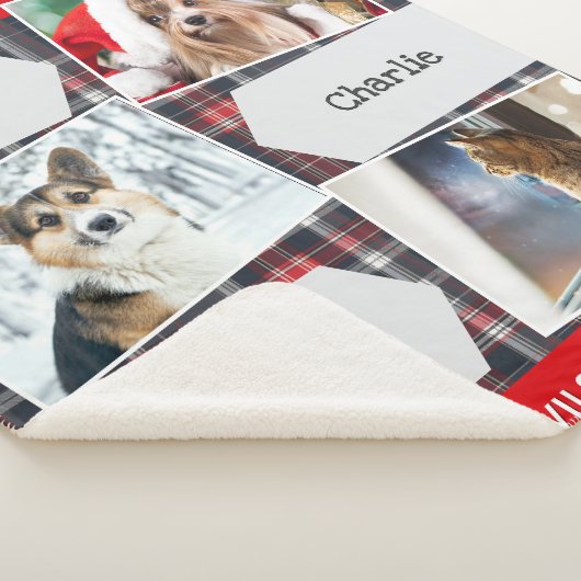 Weihnachten Haustiere 3 Foto Galerie Tartan Person Sherpadecke (3/4)