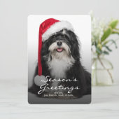 Weihnachten Havanese Hund mit Weihnachtsmannmütze (Stehend Vorderseite)