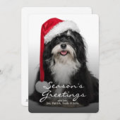 Weihnachten Havanese Hund mit Weihnachtsmannmütze (Vorne/Hinten)